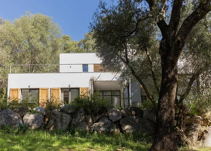 Villa Belle 3 Au Coeur Du Maquis